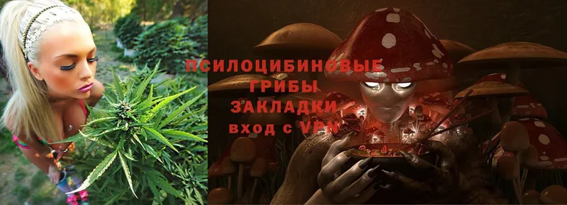 Псилоцибиновые грибы Cubensis  Электроугли 